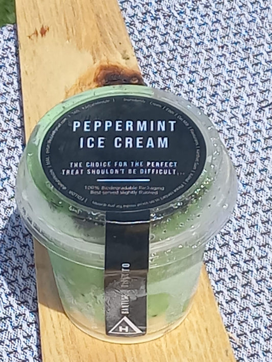 DH B Peppermint Crisp Ice Cream (170ml)
